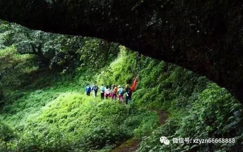魔晶猎人跳跃者